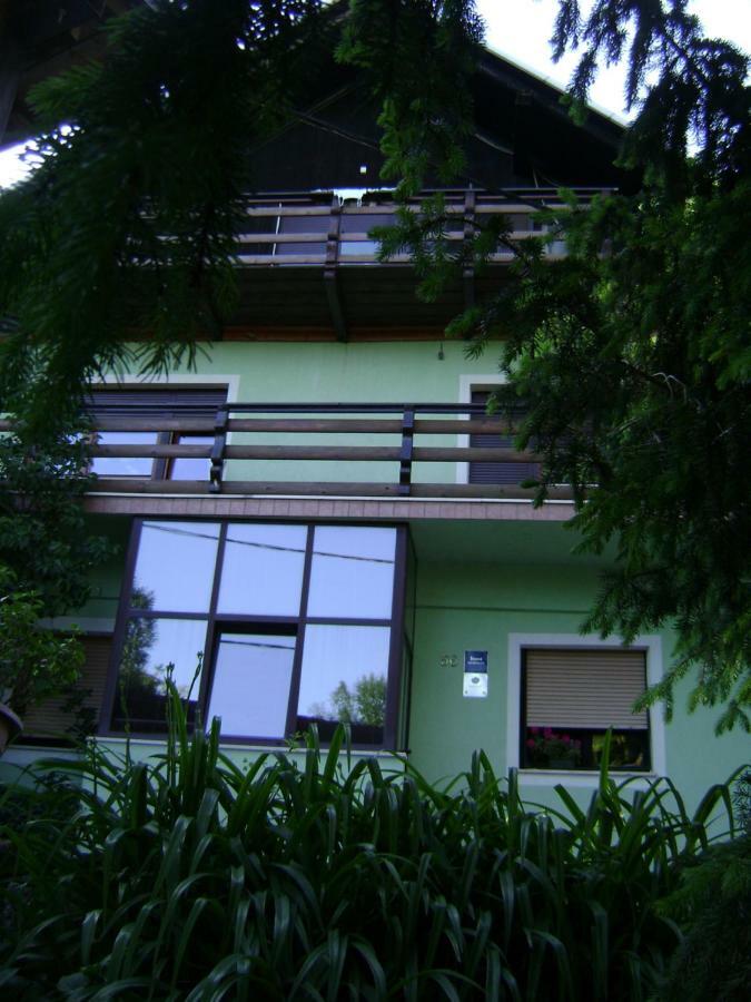 Apartman Žagar 洛克维 外观 照片