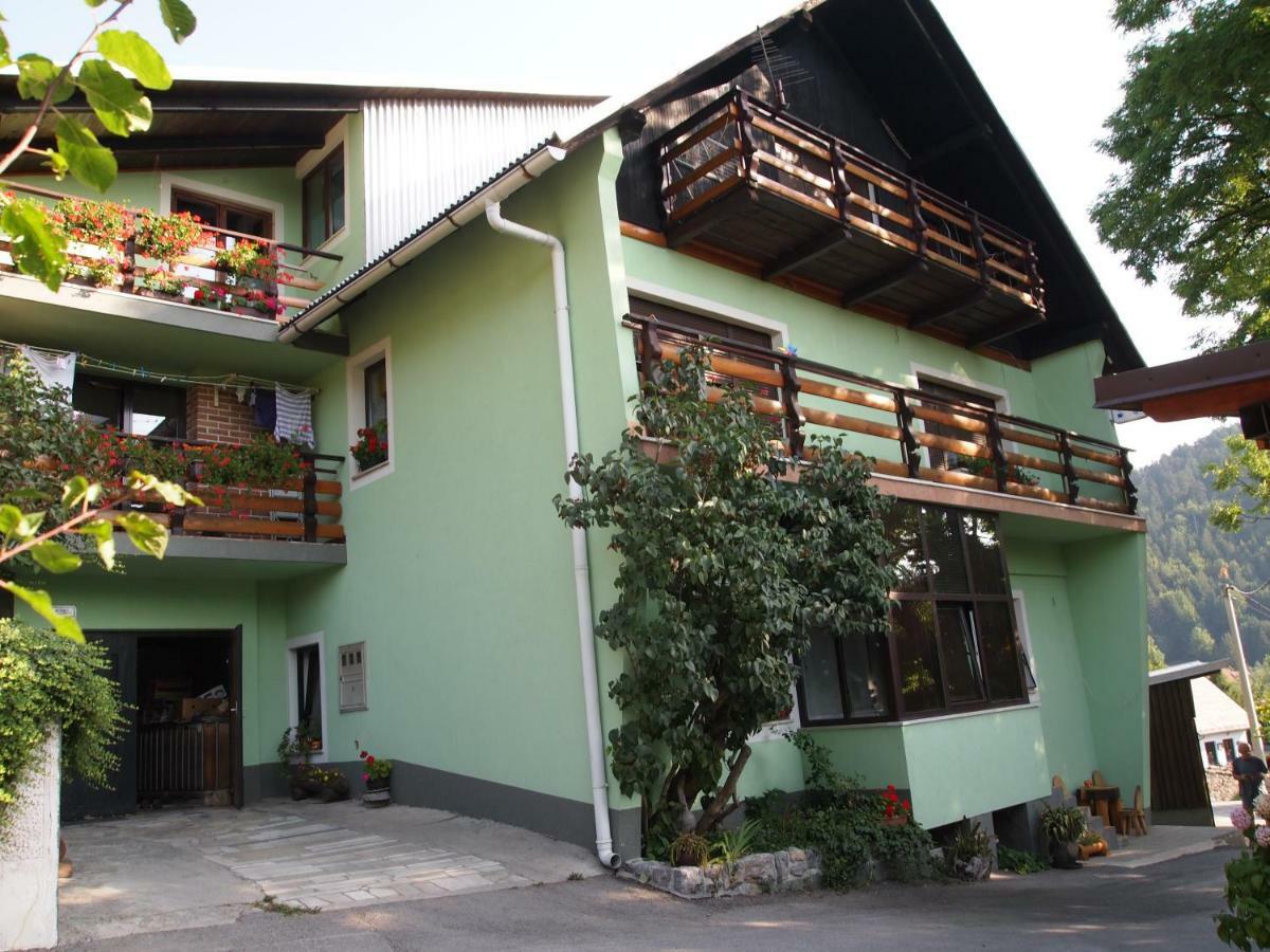 Apartman Žagar 洛克维 外观 照片